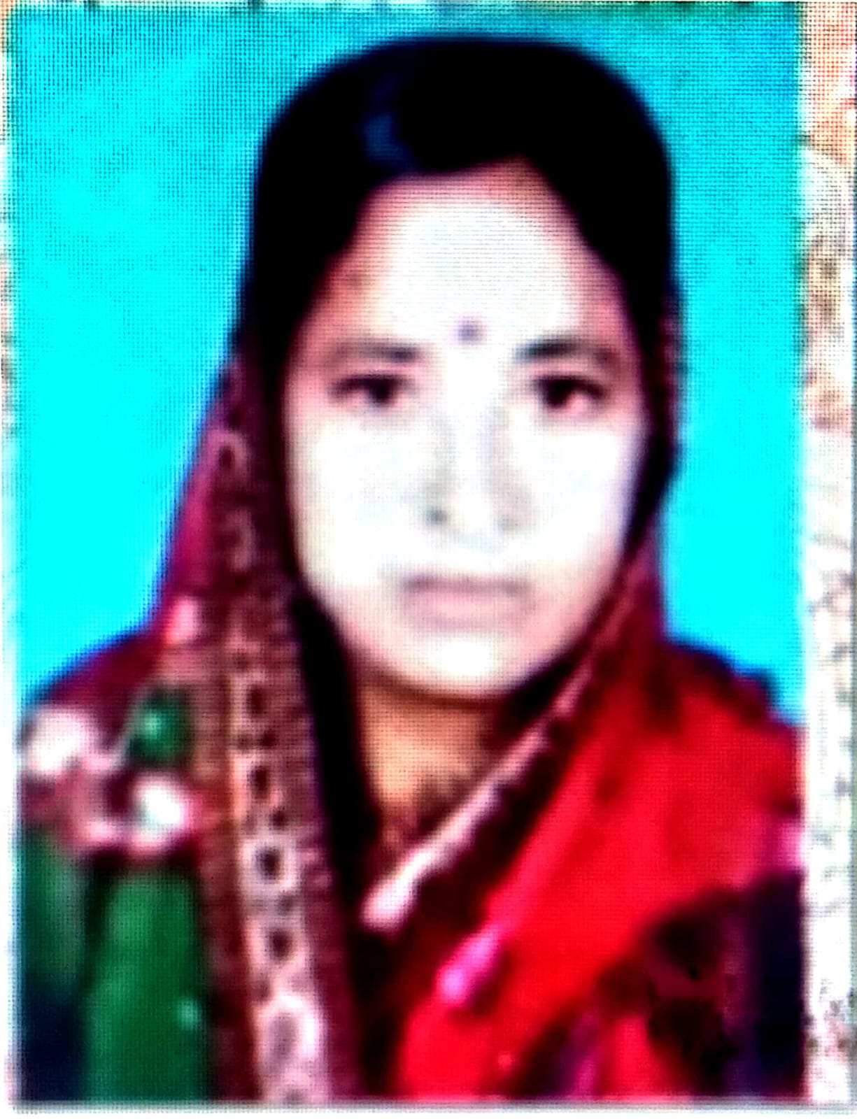 सदस्य